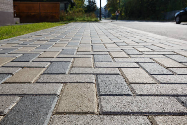 Best Driveway Paving Contractor  in Dortches, NC
