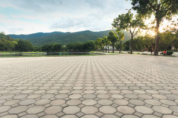 Decorative Driveway Pavers in Dortches, NC