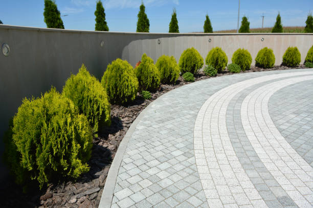 Best Concrete Paver Driveway  in Dortches, NC
