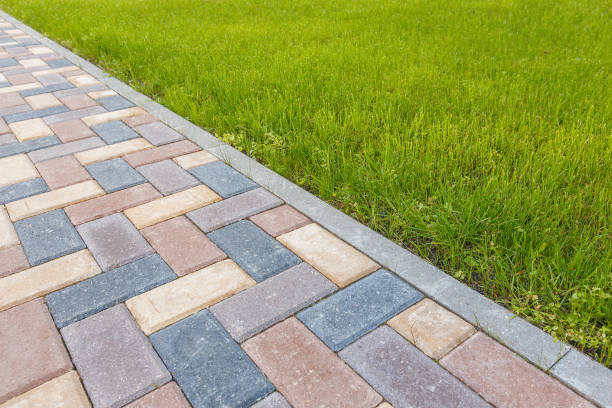 Best Professional Driveway Pavers  in Dortches, NC